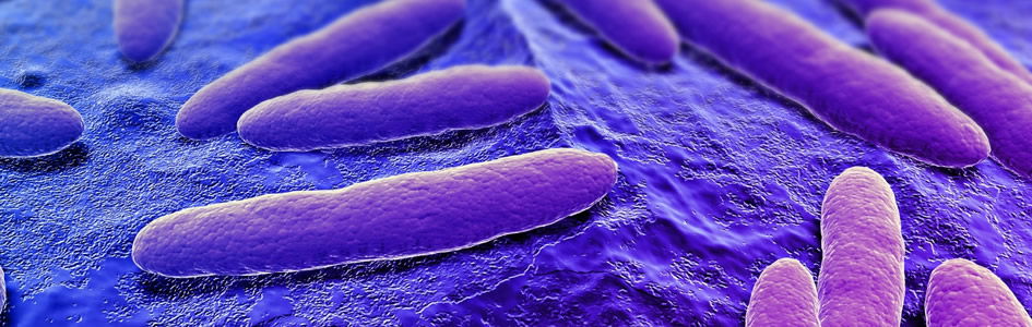 Staph Bacteria from First Breath