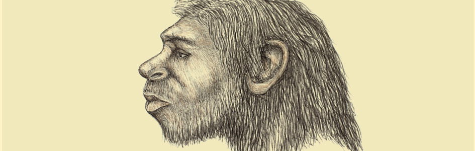 Is Homo naledi a New Species of Human Ancestor?