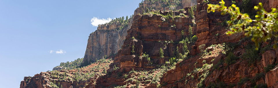 Grand Canyon north rim cliffs