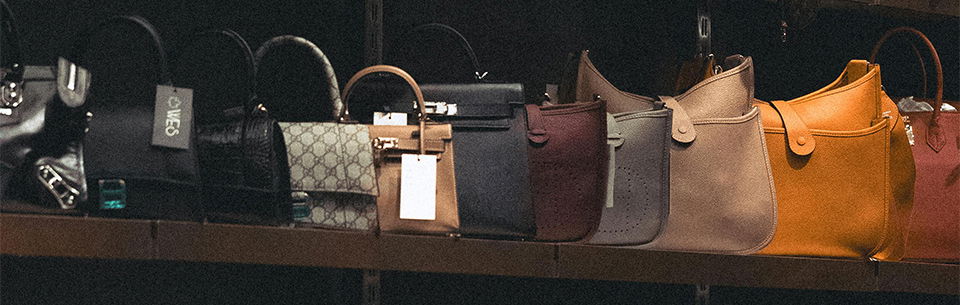 World’s First T. rex Leather Handbag from Soft Tissue?