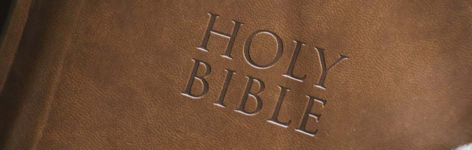 Holy Bible, New Revised Standard Version