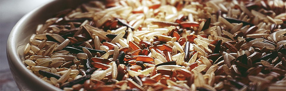 Minnesota wild rice