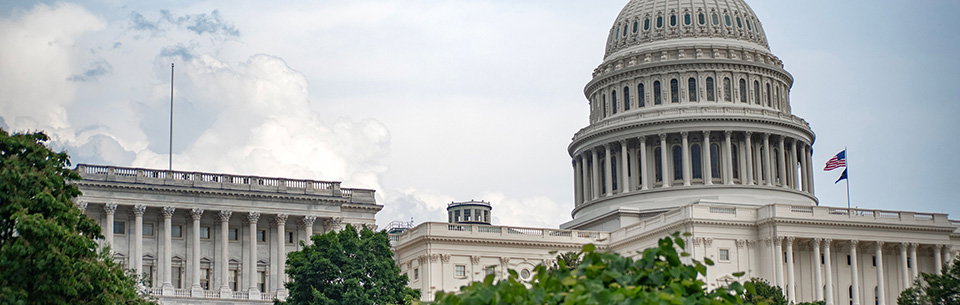 What Is the Role of Government?