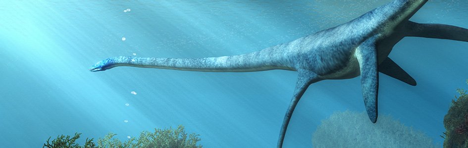 Were Plesiosaurs Both Marine and Freshwater Animals?