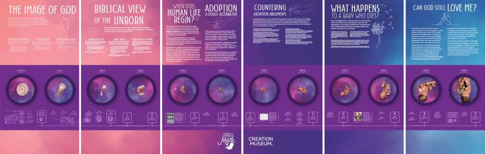 Chart of Human Prenatal Development