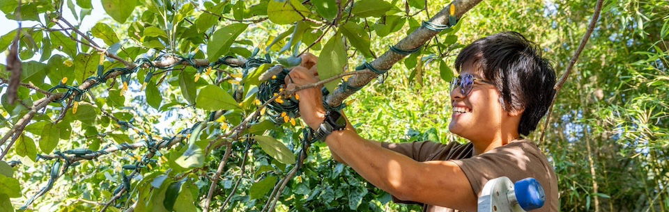 Prepping for Christmas