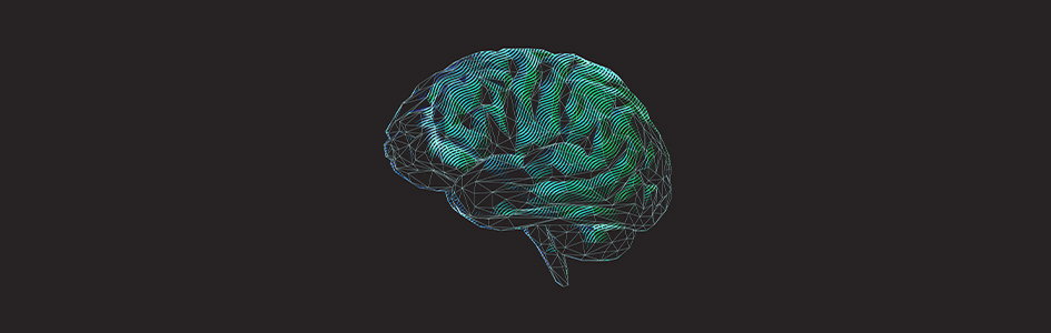 Brain illustration