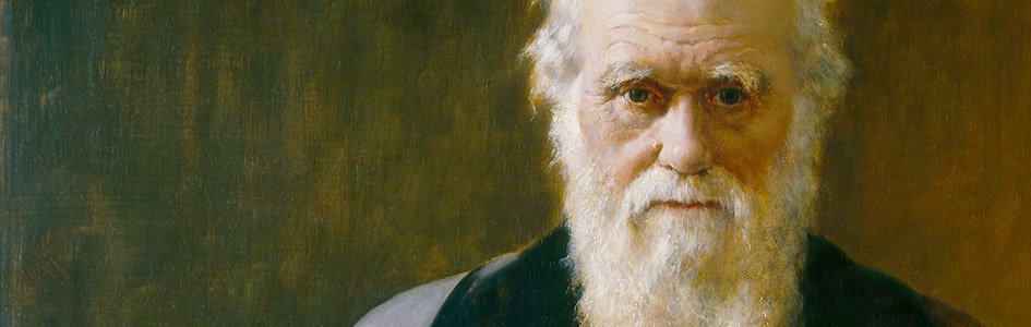 The Pursuit of Darwin