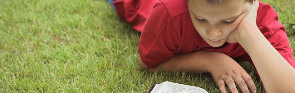 Boy Reading a Book