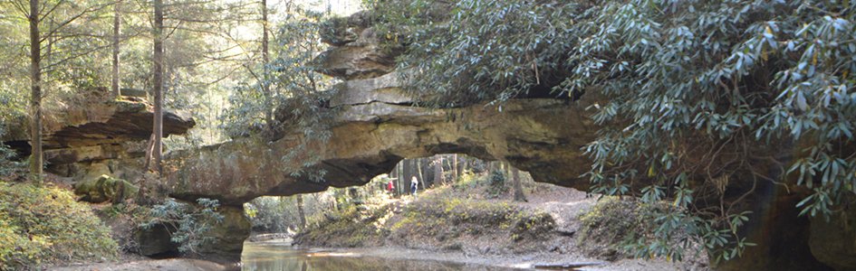 Come Join Me in Red River Gorge!