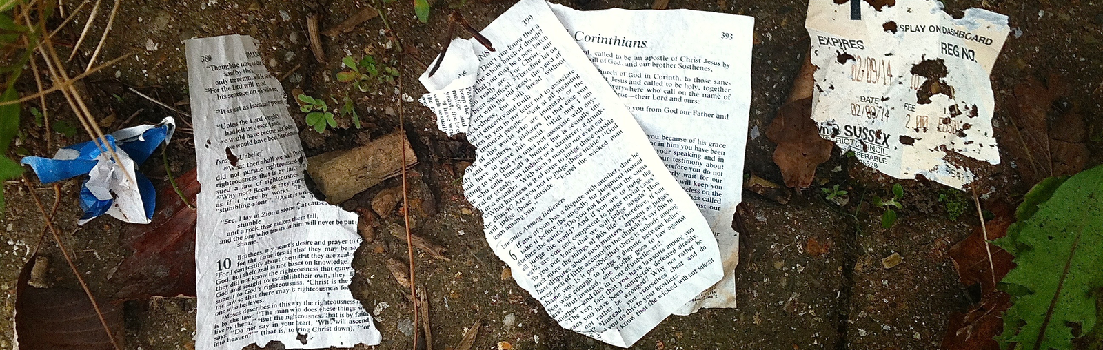 torn Bible pages