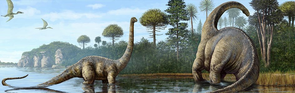 Bilderesultat for sauropods