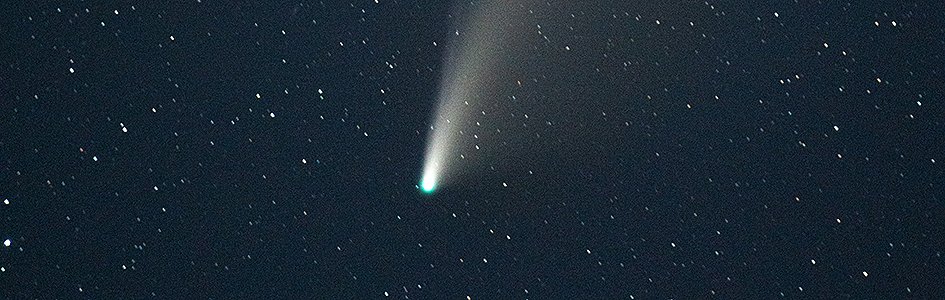 Short-Lived Comets