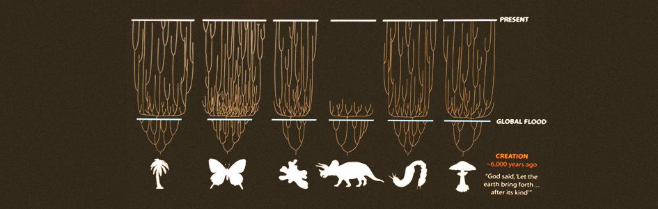 Did Natural Selection Play a Role in Speciation?