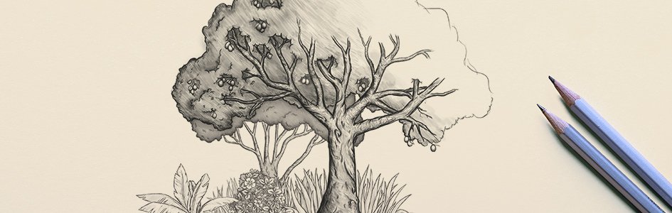 Illustration of Tree