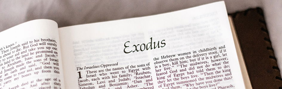 Exodus 6 cheap 20 commentary