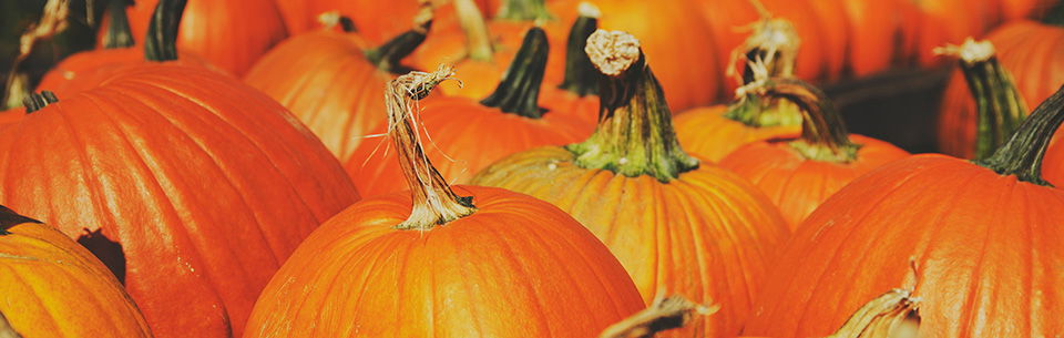 Pumpkins