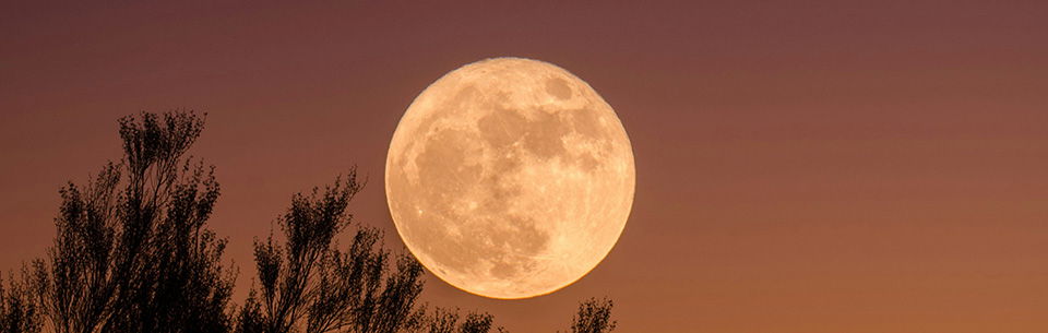 Moon