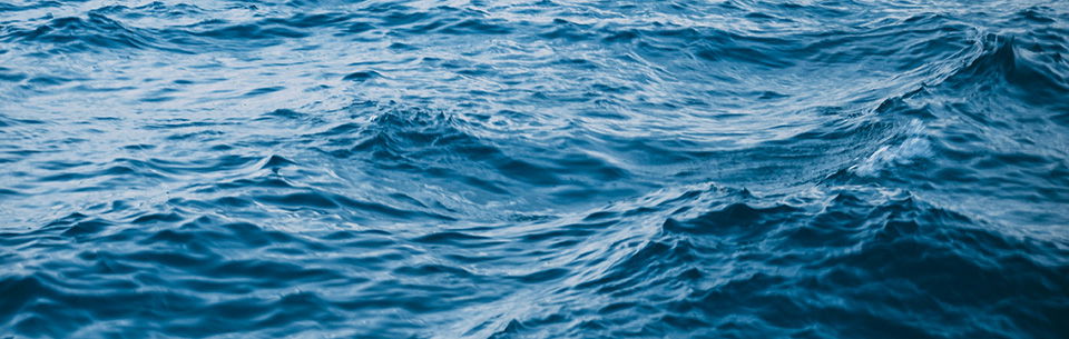 Dr. Hugh Ross’ Recent Claims About Noah’s Flood: Does Scripture Agree?