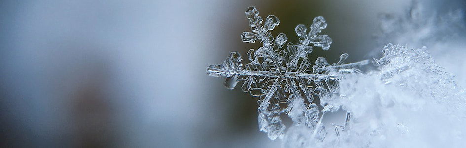 Close-up of a snowflake