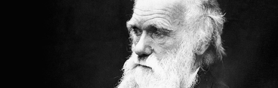 Marxism: Darwinism Lived Out