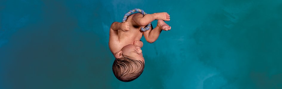 La recta final: 33 semanas en la vida de un bebé no nacido