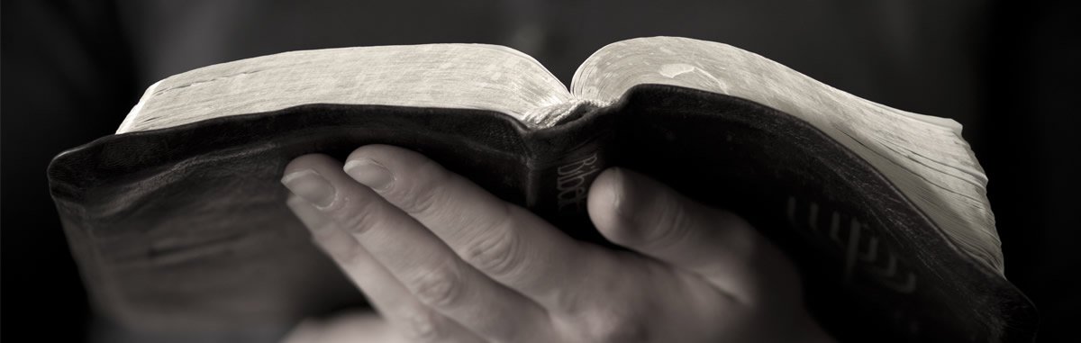 Research Shows Majority of Americans Want to Read the Bible