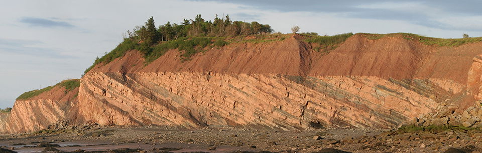 Joggins Fossil Cliffs