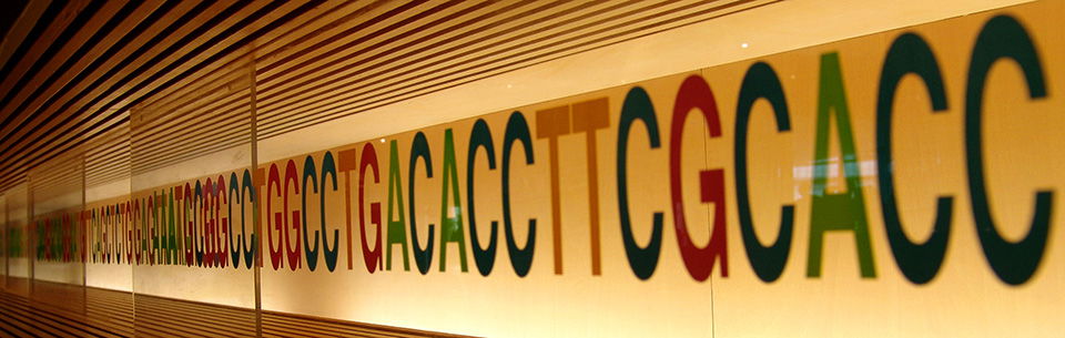DNA Sequence