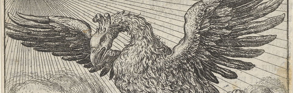 Mythical bird illustration