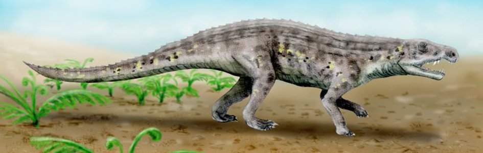 Early Dinosaurs Thrived by Becoming Bipedal?