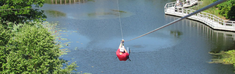 zip line at the Creation Museum