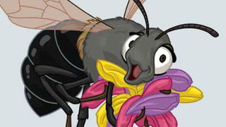 Mason Bee