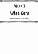 Wise Ears