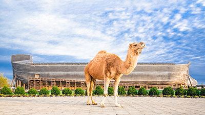 Discover Amazing Animal Encounters in Our 2022 Calendar