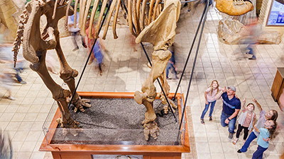 Exciting Expansions Coming to the Ark Encounter and Creation Museum