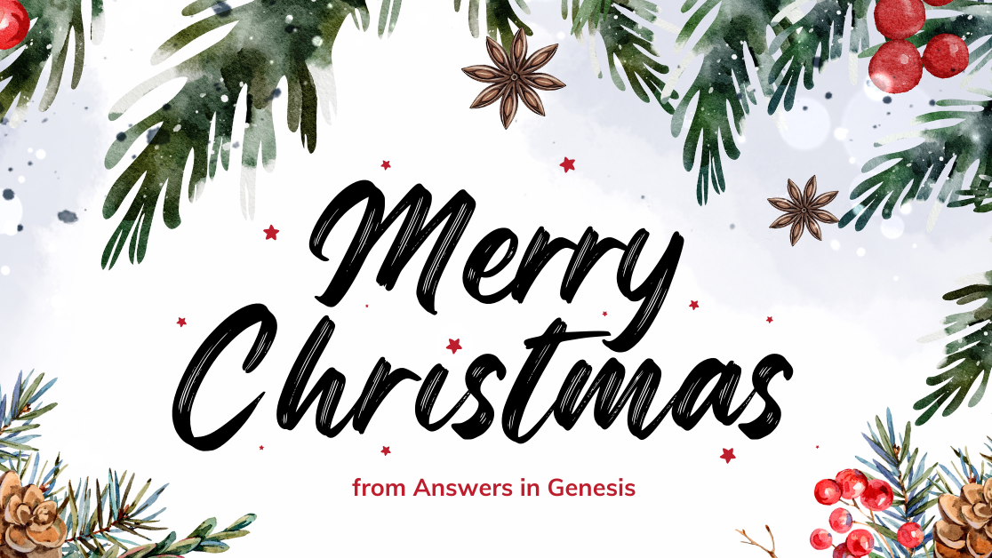 Merry Christmas from Ken Ham and Answers in Genesis