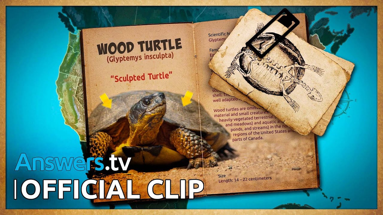 Hike & Seek / Official Clip / Summer Getaways