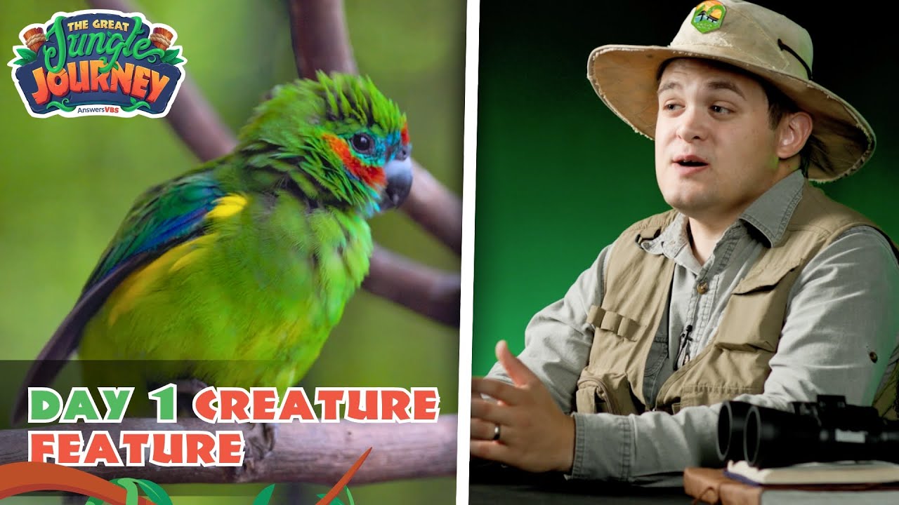 Fascinating Fig Parrot! Creature Feature: Day 1 | The Great Jungle Journey VBS