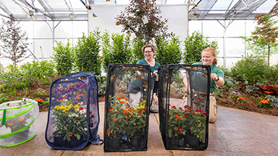 Butterfly House Open at the Creation Museum