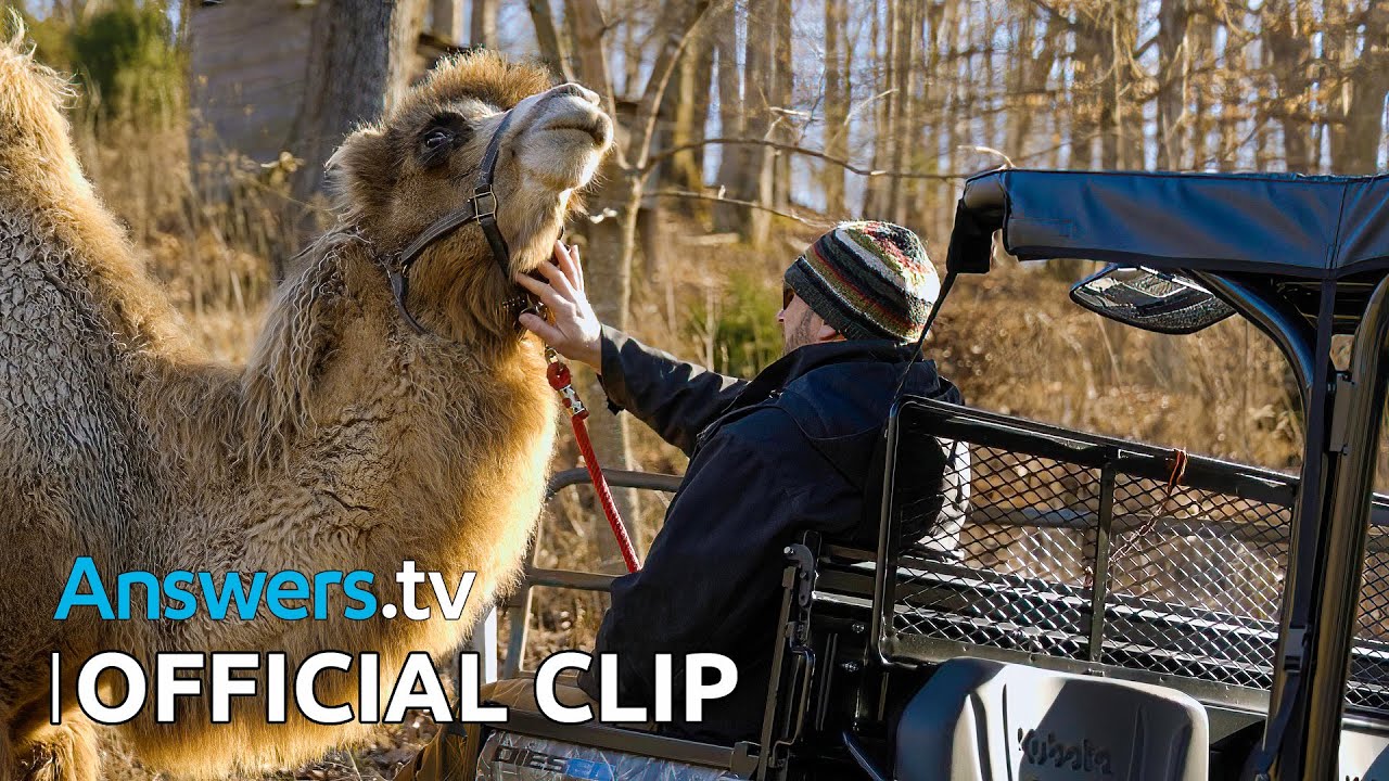 Kashtan’s Wildlife in the Zoo / Official Clip / Little Town of Bethlehem