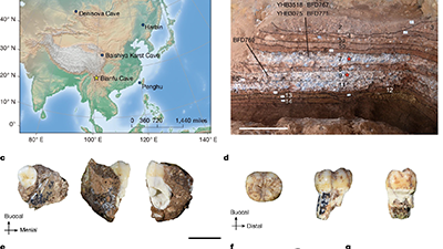Did Ancient Humans Do Nothing for 100,000 Years?
