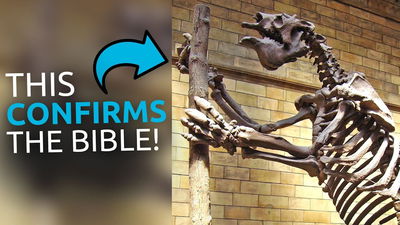 Evolutionists Will HATE This Video . . .