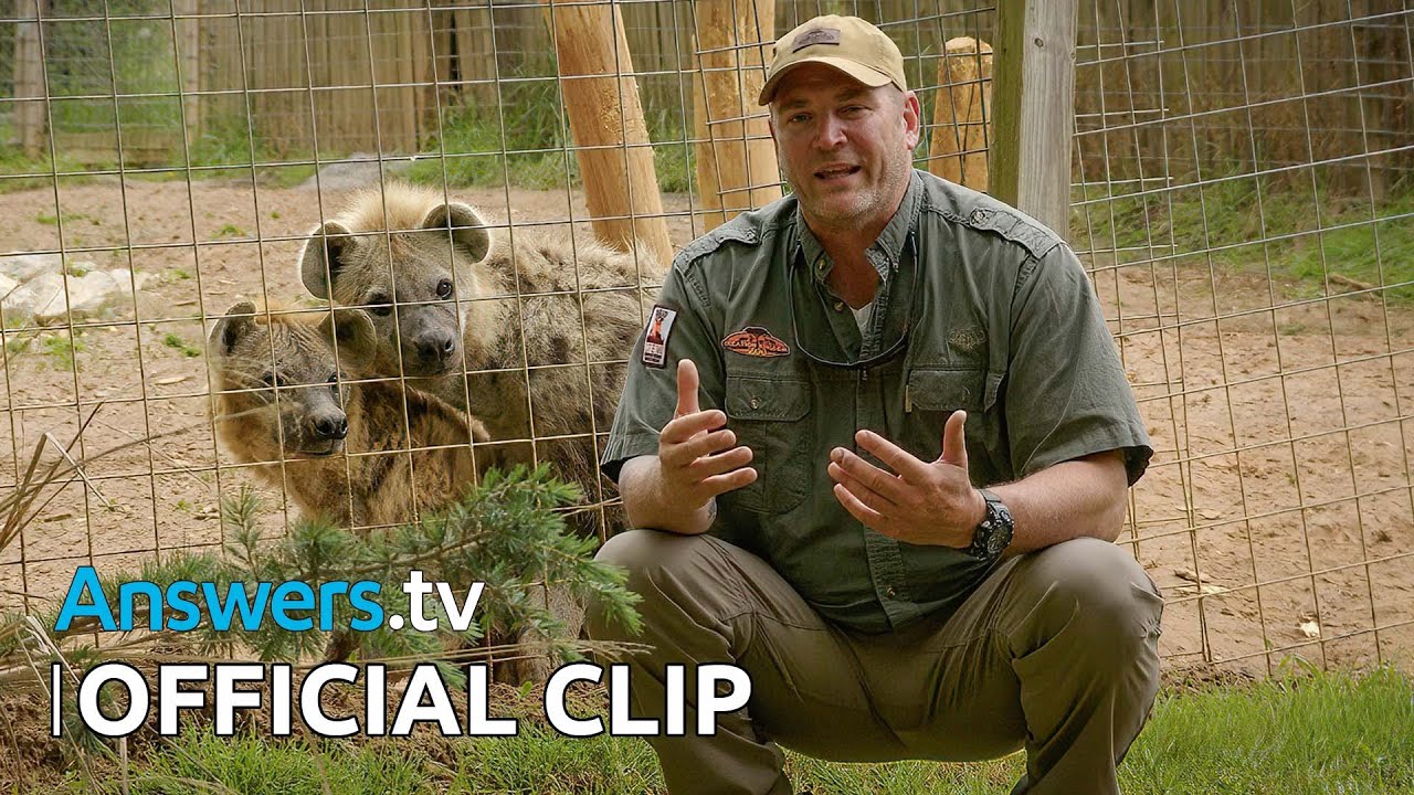 Kashtan’s Wildlife in the Zoo / Official Clip / The Zoo Visitors