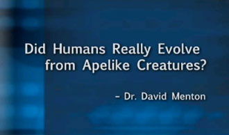 Did Humans Evolve