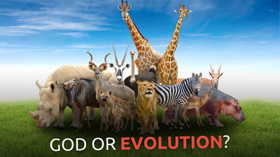 Here’s How We Got 2 MILLION Animal Species