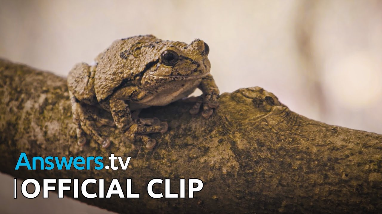 Fall Hibernation / Official Clip / Hike & Seek