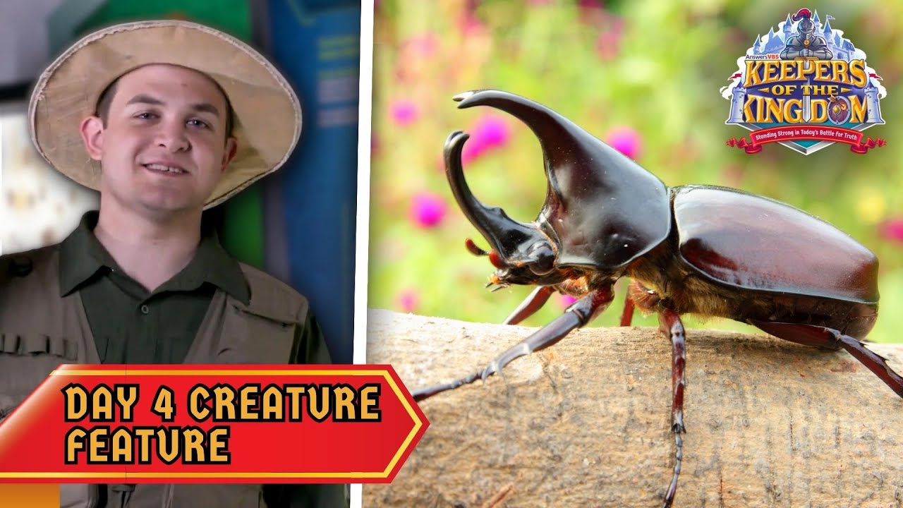 The Ironclad Beetle! | Keepers of the Kingdom VBS: Day 4 Creature Feature