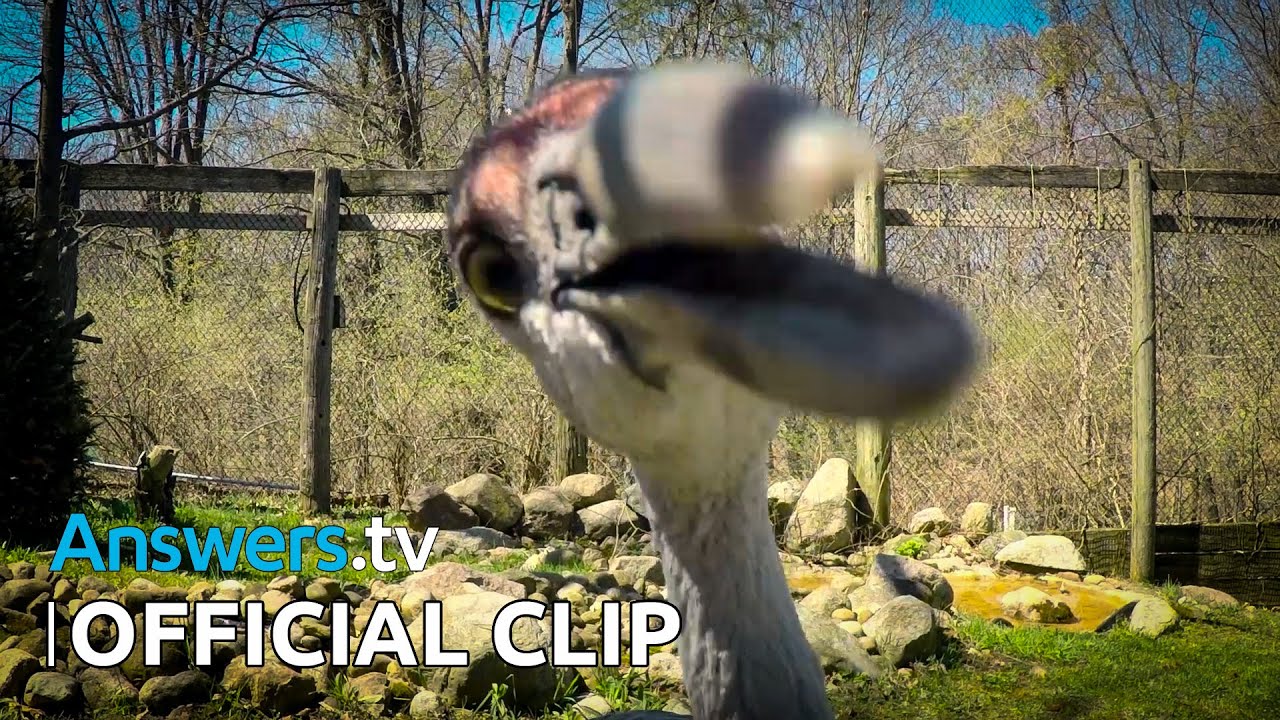 Sandhills and Cattails/ Official Clip / Hike & Seek