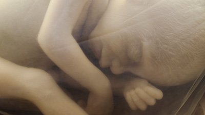 Abortion and the Origins Debate